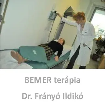 Preventiv Team 2000 Kft  Dr. Frányó Ildikó