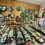 Gyöngyvirág virágbolt Medgyesegyháza